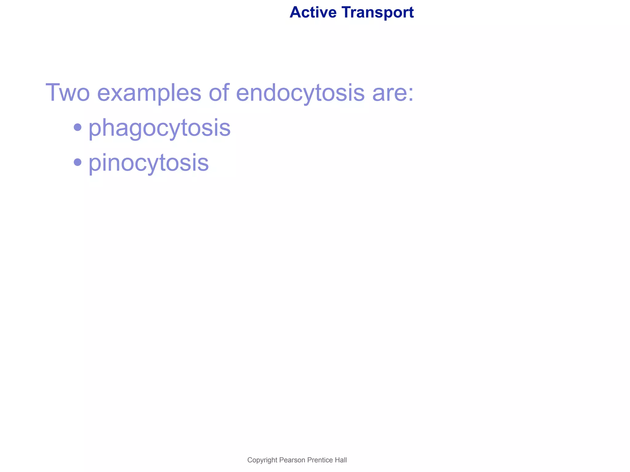 Active Transport 
Two examples of endocytosis are: 
• phagocytosis 
• pinocytosis 
Copyright Pearson Prentice Hall 
 