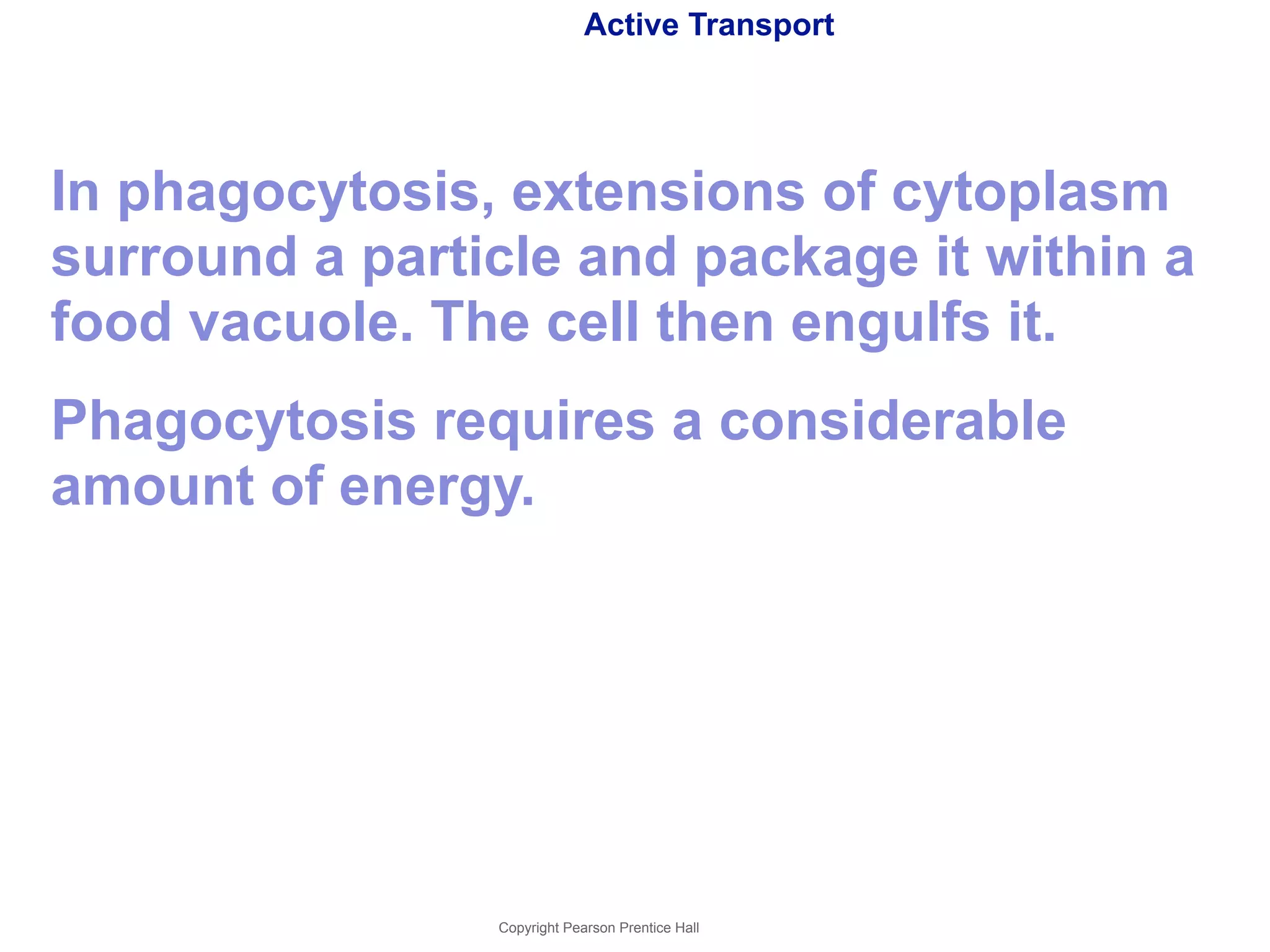 Active Transport 
In phagocytosis, extensions of cytoplasm 
surround a particle and package it within a 
food vacuole. The cell then engulfs it. 
Phagocytosis requires a considerable 
amount of energy. 
Copyright Pearson Prentice Hall 
 