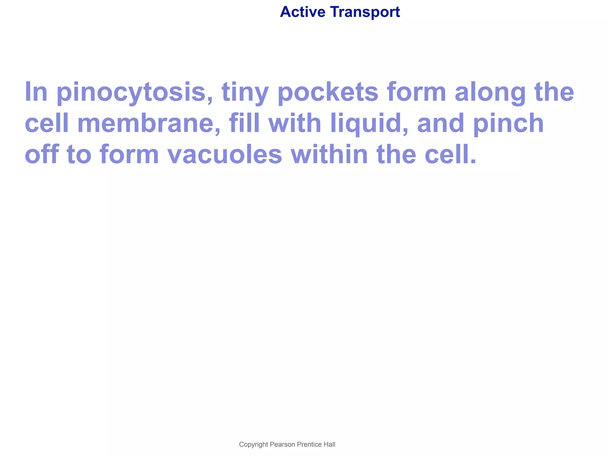 Active Transport 
In pinocytosis, tiny pockets form along the 
cell membrane, fill with liquid, and pinch 
off to form vacuoles within the cell. 
Copyright Pearson Prentice Hall 
 