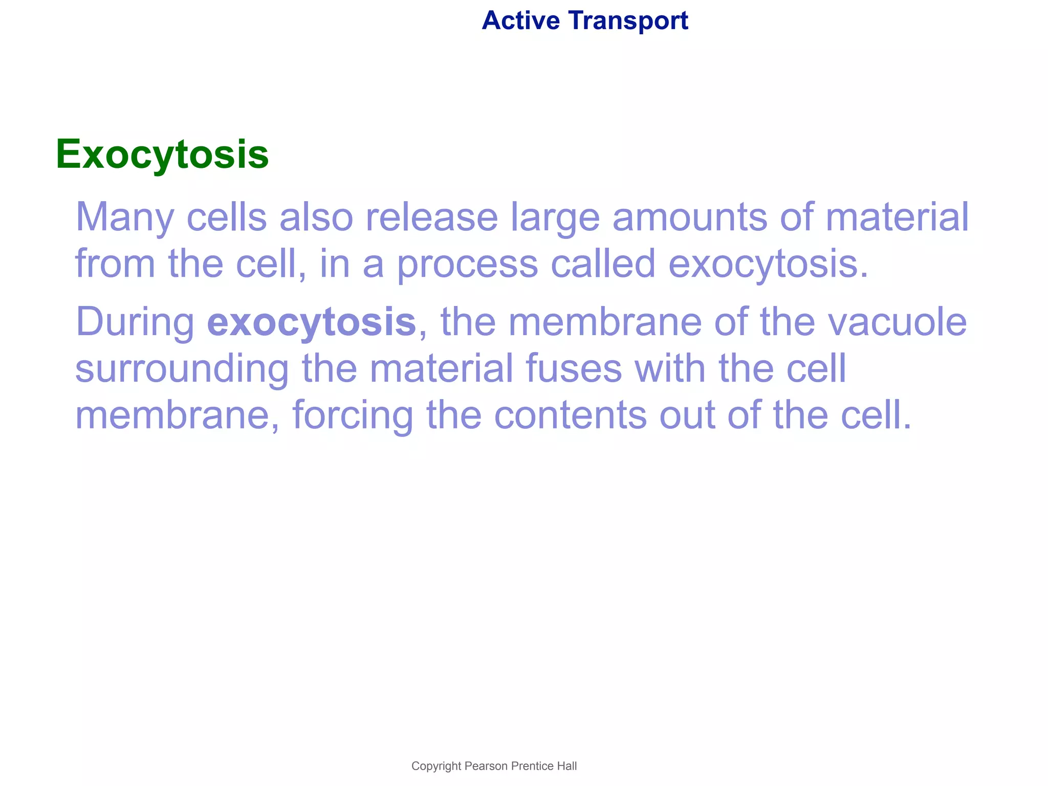 Active Transport 
Exocytosis 
Many cells also release large amounts of material 
from the cell, in a process called exocytosis. 
During exocytosis, the membrane of the vacuole 
surrounding the material fuses with the cell 
membrane, forcing the contents out of the cell. 
Copyright Pearson Prentice Hall 
 