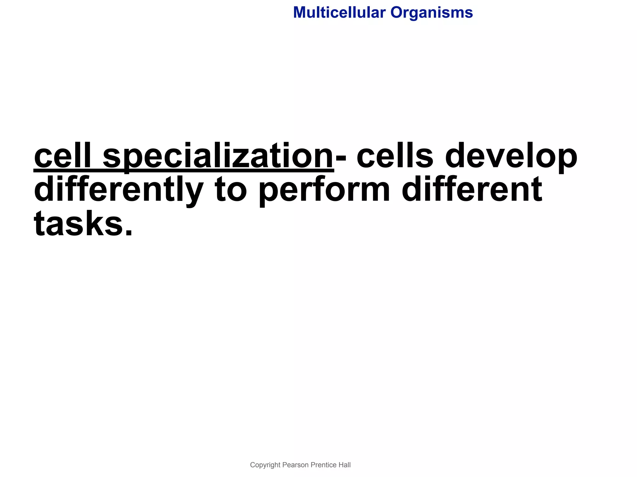 Multicellular Organisms 
cell specialization- cells develop 
differently to perform different 
tasks. 
Copyright Pearson Prentice Hall 
 