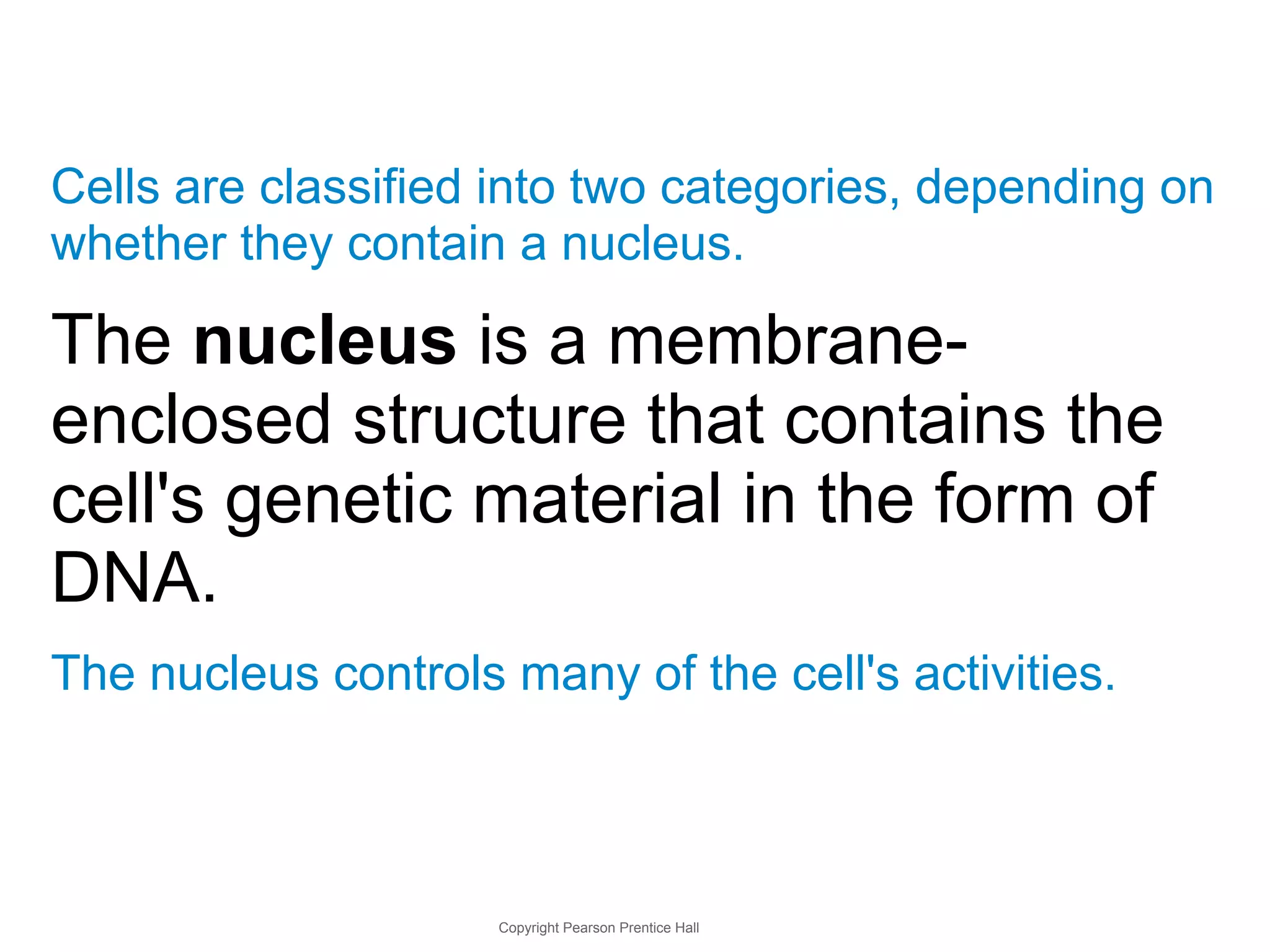 Cells are classified into two categories, depending on 
whether they contain a nucleus. 
The nucleus is a membrane-enclosed 
structure that contains the 
cell's genetic material in the form of 
DNA. 
The nucleus controls many of the cell's activities. 
Copyright Pearson Prentice Hall 
 