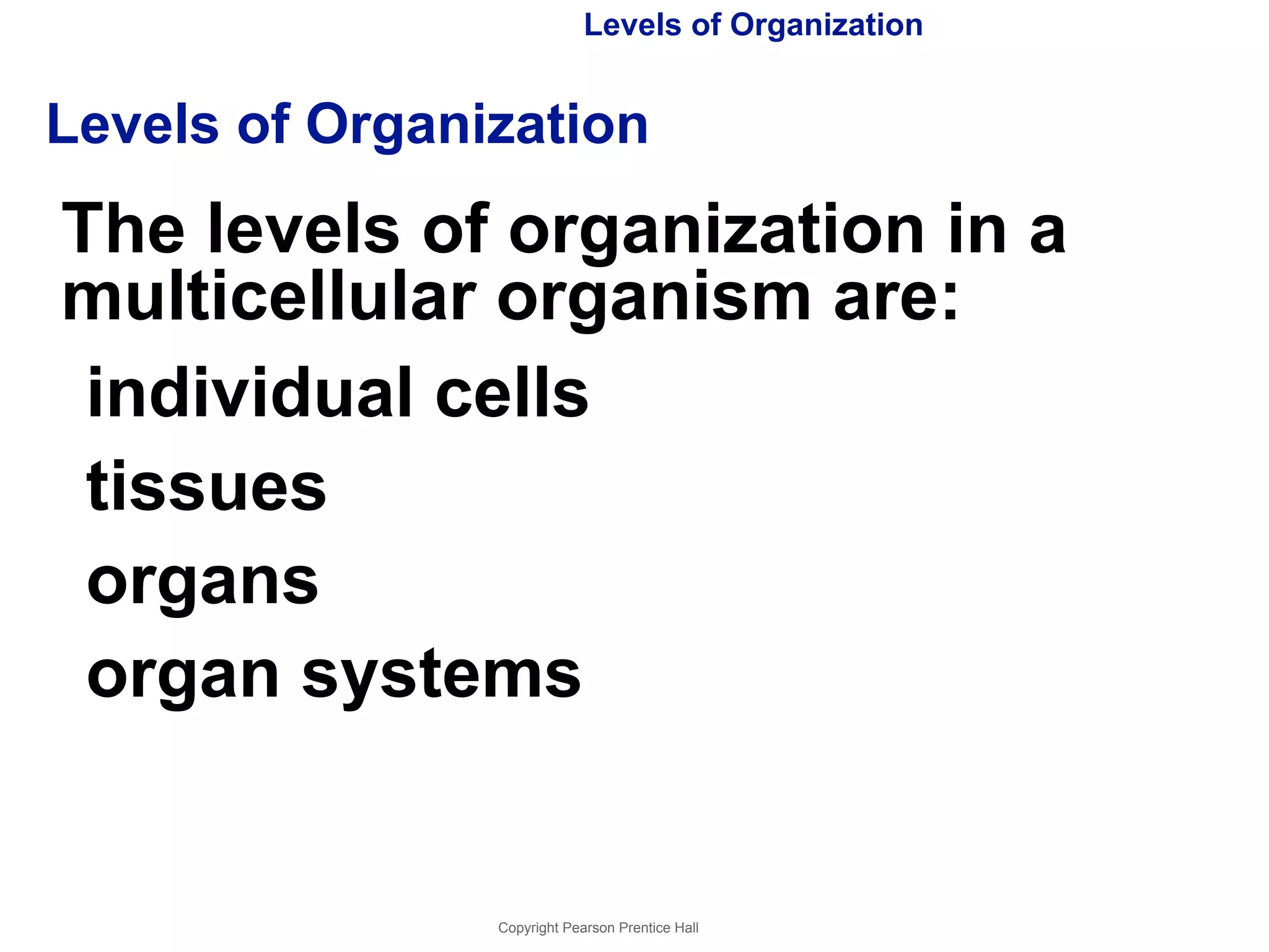 Levels of Organization 
Levels of Organization 
The levels of organization in a 
multicellular organism are: 
individual cells 
tissues 
organs 
organ systems 
Copyright Pearson Prentice Hall 
 