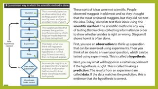 Understanding Life Processes and Human Body Basics for Grade 7 Science