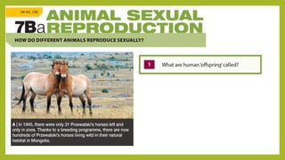 Understanding Life Processes and Human Body Basics for Grade 7 Science