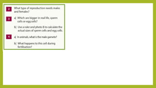 Understanding Life Processes and Human Body Basics for Grade 7 Science