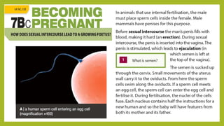 Understanding Life Processes and Human Body Basics for Grade 7 Science