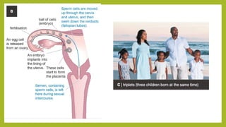 Understanding Life Processes and Human Body Basics for Grade 7 Science