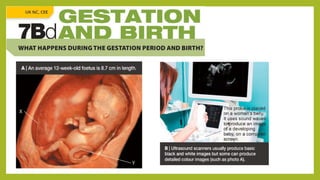 Understanding Life Processes and Human Body Basics for Grade 7 Science