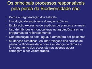 Os principais processos responsáveis
pela perda da Biodiversidade são:
• Perda e fragmentação dos habitats;
• Introdução de espécies e doenças exóticas;
• Exploração excessiva de espécies de plantas e animais;
• Uso de híbridos e monoculturas na agroindústria e nos
programas de reflorestamento;
• Contaminação do solo, água, e atmosfera por poluentes
• Mudanças climáticas. As inter-relações das causas de
perda de Biodiversidade com a mudança do clima e o
funcionamento dos ecossistemas apenas agora
começam a ser vislumbradas.
 