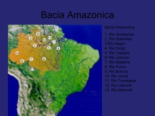 Bacia Amazonica
Bacia Amazonica
1. Rio Amazonas
2. Rio Solimões
3.Rio Negro
4. Rio Xingu
5. Rio Tapajós
6. Rio Jurema
7. Rio Madeira
8. Rio Purus
9. Rio Branco
10. Rio Juruá
11. Rio Trombetas
12. Rio Uatumã
13. Rio Mamoré
 