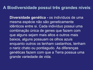 A Biodiversidade possui três grandes níveis:
Diversidade genética - os indivíduos de uma
mesma espécie não são geneticamente
idênticos entre si. Cada indivíduo possui uma
combinação única de genes que fazem com
que alguns sejam mais altos e outros mais
baixos, alguns possuam os olhos azuis
enquanto outros os tenham castanhos, tenham
o nariz chato ou pontiagudo. As diferenças
genéticas fazem com que a Terra possua uma
grande variedade de vida.
 