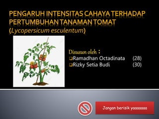 Ramadhan Octadinata (28)
Rizky Setia Budi (30)
Lycopersicum esculentum
Jangan berisik yaaaaaaa
 