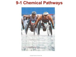 9-1 Chemical Pathways 
Copyright Pearson Prentice Hall 
 