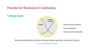 Potential for Mechanical Conditioning
• Design Goals
Support
Vascular
Function
Mechanical conditioning may lead to improved cellular organization and vascular function
Vascular Restoration Therapy
Shear stress & pulsatility
Tissue adaptation
Structure and functionality
 