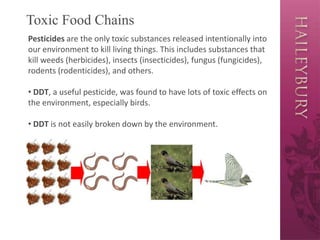 Toxic Food Chains
Pesticides are the only toxic substances released intentionally into
our environment to kill living things. This includes substances that
kill weeds (herbicides), insects (insecticides), fungus (fungicides),
rodents (rodenticides), and others.
• DDT, a useful pesticide, was found to have lots of toxic effects on
the environment, especially birds.
• DDT is not easily broken down by the environment.
 