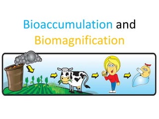 Bioaccumulation and
  Biomagnification
 