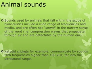 Animal sounds
 Sounds used by animals that fall within the scope of
bioacoustics include a wide range of frequencies and
media, and are often not "sound" in the narrow sense
of the word (i.e. compression waves that propagate
through air and are detectable by the human ear).
 Katydid crickets for example, communicate by sounds
with frequencies higher than 100 kHz, far into the
ultrasound range.
 