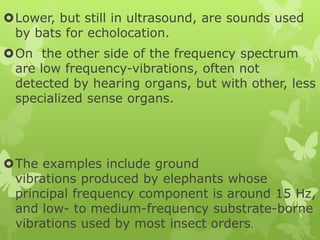 Lower, but still in ultrasound, are sounds used
by bats for echolocation.
On the other side of the frequency spectrum
are low frequency-vibrations, often not
detected by hearing organs, but with other, less
specialized sense organs.
The examples include ground
vibrations produced by elephants whose
principal frequency component is around 15 Hz,
and low- to medium-frequency substrate-borne
vibrations used by most insect orders.
 
