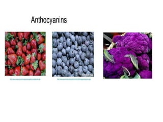 View of Bioactive compound in fruits and vegetables | PDF