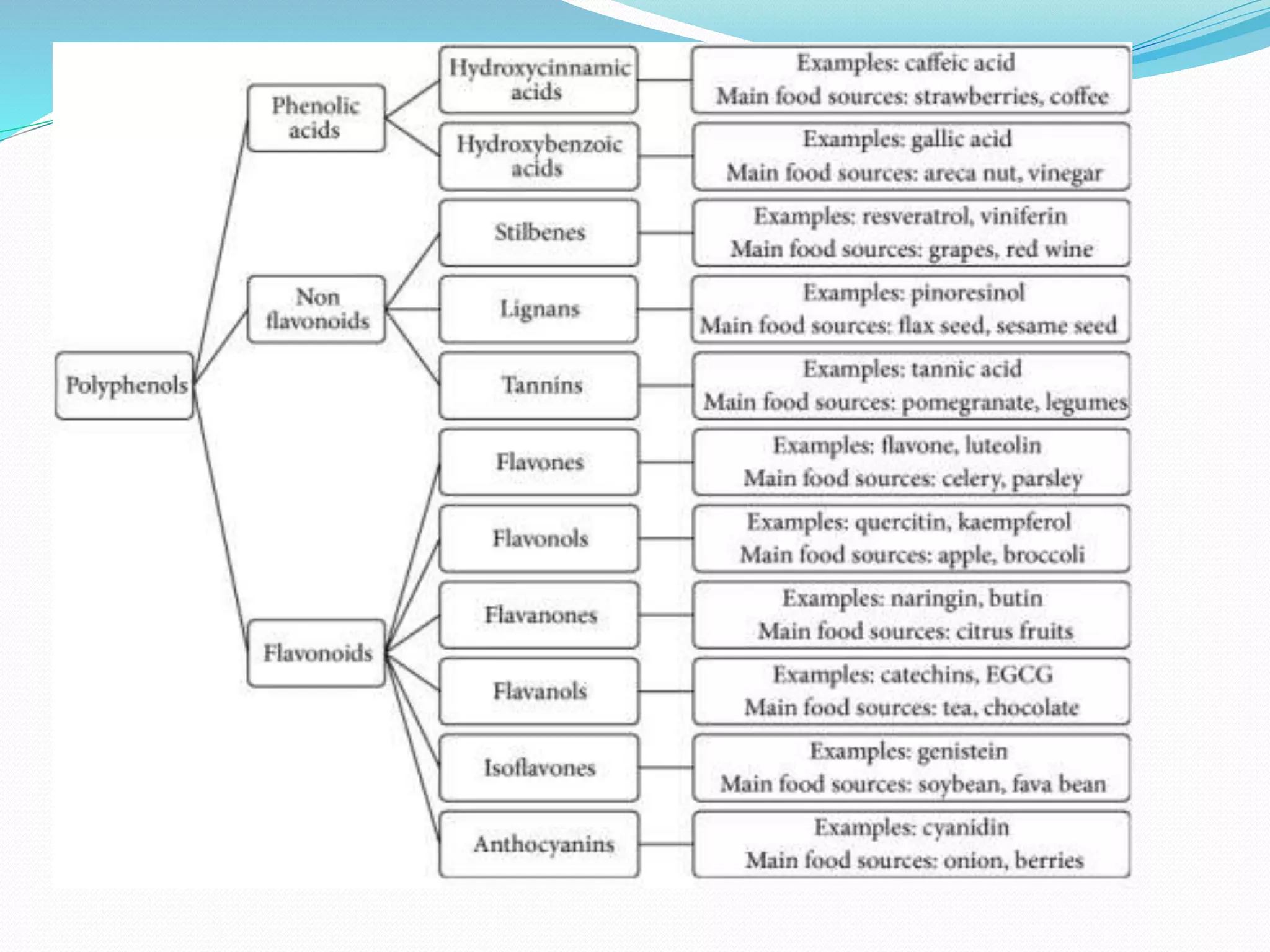 Bioactive compounds | PPTX | Healthy Cooking and Eating | Food & Drink
