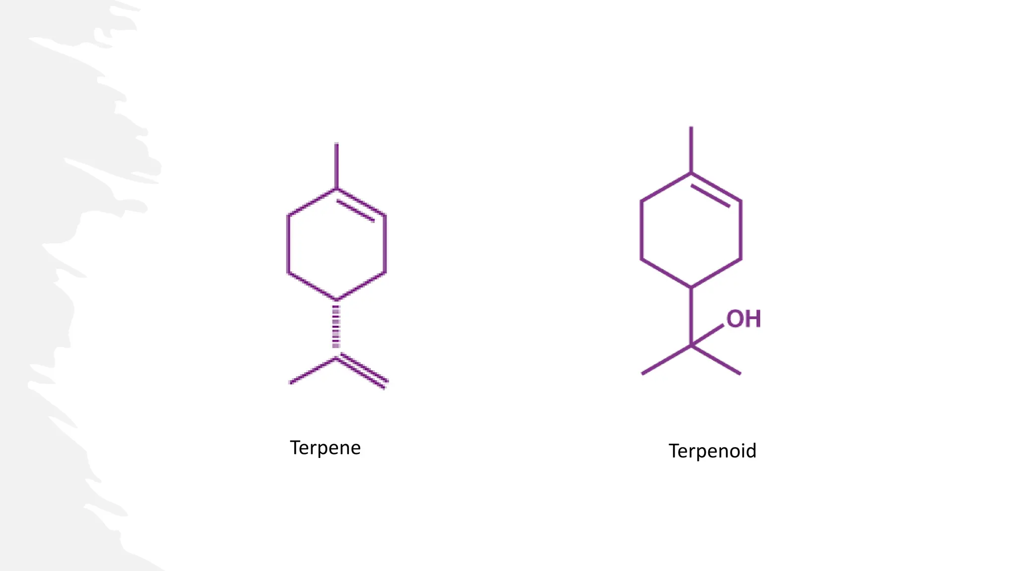 Terpene Terpenoid
 