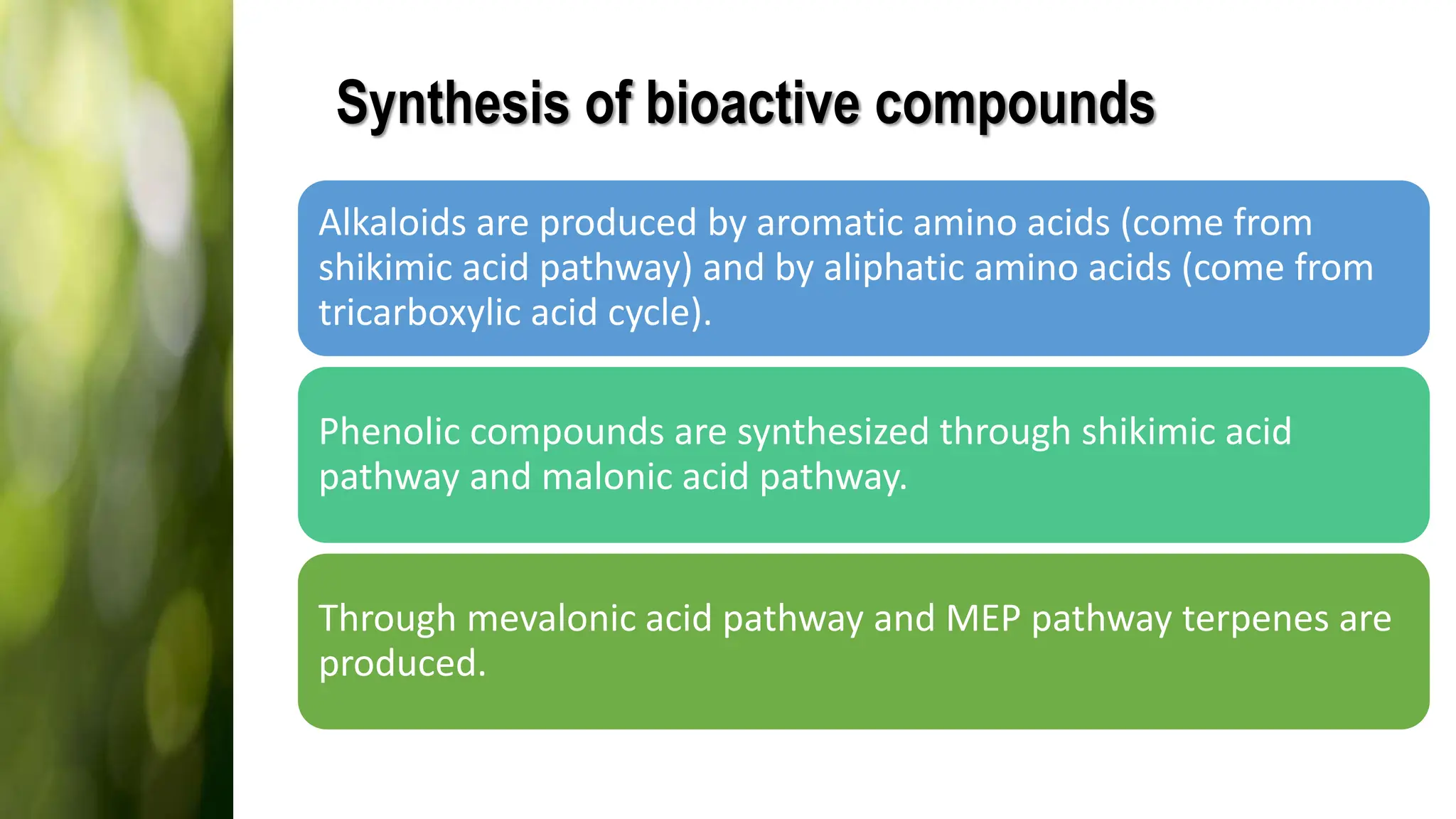 Synthesis of bioactive compounds
Alkaloids are produced by aromatic amino acids (come from
shikimic acid pathway) and by aliphatic amino acids (come from
tricarboxylic acid cycle).
Phenolic compounds are synthesized through shikimic acid
pathway and malonic acid pathway.
Through mevalonic acid pathway and MEP pathway terpenes are
produced.
 
