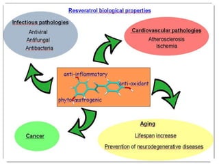 Bioactive compounds in alcoholic beverages and their role in human ...