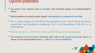 Opioid peptides
 An opioid is any chemical such as morphine that resembles opiates in its pharmacological
effects.
 Opioid peptides are opioid receptor ligands with agonistic or antagonistic activities.
 The αs1-casein-exorphin (αs1-CN f90-96), β-casomorphins-7 and -5 (β-CN f60-66 and f60-64,
respectively), and lactorphins (α-lactalbumin f50-53 and β-lactoglobulin f102-105) act as
opioid agonists.
 whereas casoxins (i.e., k-CN f35-42, f58-61, and f25-34) act as opioid antagonists.
 The hydrolysis of Lactobacillus fermented UHT milk by the pepsin/trypsin has shown to
release several opioid peptides from αs1- and β-CN, and α-lactalbumin.
 