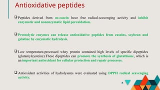 Antioxidative peptides
 Peptides derived from αs-casein have free radical-scavenging activity and inhibit
enzymatic and nonenzymatic lipid peroxidation.
 Proteolytic enzymes can release antioxidative peptides from caseins, soybean and
gelatine by enzymatic hydrolysis.
 Low temperature-processed whey protein contained high levels of specific dipeptides
(glutamylcysteine).These dipeptides can promote the synthesis of glutathione, which is
an important antioxidant for cellular protection and repair processes.
 Antioxidant activities of hydrolysates were evaluated using DPPH radical scavenging
activity.
 