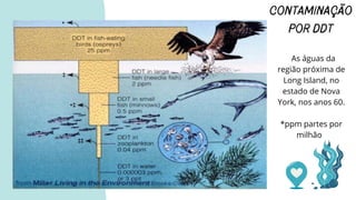 As águas da
região próxima de
Long Island, no
estado de Nova
York, nos anos 60.
*ppm partes por
milhão
contaminação
por DDT
 