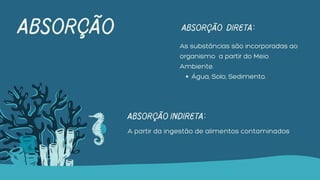 ABSORÇÃO
Água, Solo, Sedimento.
As substâncias são incorporadas ao
organismo a partir do Meio
Ambiente.
Absorção Direta:
Absorção Indireta:
A partir da ingestão de alimentos contaminados
 