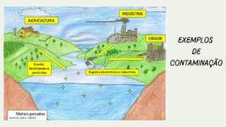 Exemplos
de
contaminação
 