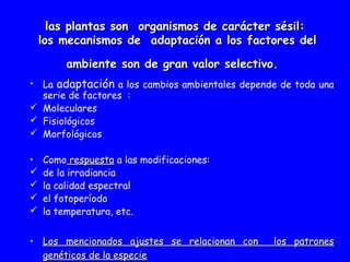 las plantas son organismos ddee ccaarráácctteerr ssééssiill:: 
llooss mmeeccaanniissmmooss ddee aaddaappttaacciióónn aa llooss ffaaccttoorreess ddeell 
aammbbiieennttee ssoonn ddee ggrraann vvaalloorr sseelleeccttiivvoo.. 
• La adaptación a los cambios ambientales depende de toda una 
serie de factores : 
 Moleculares 
 Fisiológicos 
 Morfológicos 
• Como rreessppuueessttaa a las modificaciones: 
 de la irradiancia 
 la calidad espectral 
 el fotoperíodo 
 la temperatura, etc. 
• LLooss mmeenncciioonnaaddooss aajjuusstteess ssee rreellaacciioonnaann ccoonn llooss ppaattrroonneess 
ggeennééttiiccooss ddee llaa eessppeecciiee 
 