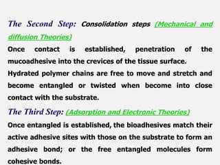 The Second Step: Consolidation steps (Mechanical and
diffusion Theories)
Once contact is established, penetration of the
mucoadhesive into the crevices of the tissue surface.
Hydrated polymer chains are free to move and stretch and
become entangled or twisted when become into close
contact with the substrate.
The Third Step: (Adsorption and Electronic Theories)
Once entangled is established, the bioadhesives match their
active adhesive sites with those on the substrate to form an
adhesive bond; or the free entangled molecules form
cohesive bonds.
 
