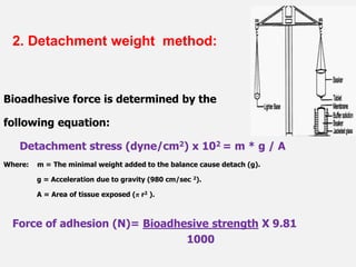 2. Detachment weight method:
Bioadhesive force is determined by the
following equation:
Detachment stress (dyne/cm2) x 102 = m * g / A
Where: m = The minimal weight added to the balance cause detach (g).
g = Acceleration due to gravity (980 cm/sec 2).
A = Area of tissue exposed (π r2 ).
Force of adhesion (N)= Bioadhesive strength X 9.81
1000
 