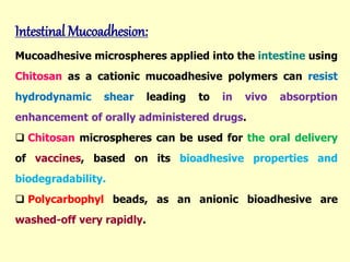 Intestinal Mucoadhesion:
Mucoadhesive microspheres applied into the intestine using
Chitosan as a cationic mucoadhesive polymers can resist
hydrodynamic shear leading to in vivo absorption
enhancement of orally administered drugs.
 Chitosan microspheres can be used for the oral delivery
of vaccines, based on its bioadhesive properties and
biodegradability.
 Polycarbophyl beads, as an anionic bioadhesive are
washed-off very rapidly.
 