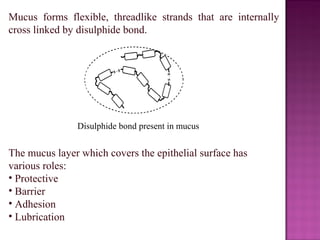 Mucus forms flexible, threadlike strands that are internally
cross linked by disulphide bond.




               Disulphide bond present in mucus


The mucus layer which covers the epithelial surface has
various roles:
• Protective
• Barrier
• Adhesion
• Lubrication
 