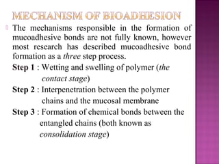    The mechanisms responsible in the formation of
    mucoadhesive bonds are not fully known, however
    most research has described mucoadhesive bond
    formation as a three step process.
    Step 1 : Wetting and swelling of polymer (the
             contact stage)
    Step 2 : Interpenetration between the polymer
             chains and the mucosal membrane
    Step 3 : Formation of chemical bonds between the
            entangled chains (both known as
            consolidation stage)
 