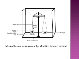 Mucoadhesion measurement by Modified balance method
 
