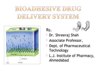 By,
 Dr. Shreeraj Shah
 Associate Professor,
 Dept. of Pharmaceutical
  Technology
 L.J. Institute of Pharmacy,
  Ahmedabad
 
