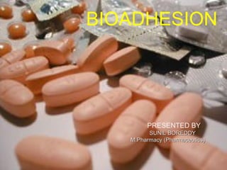 BIOADHESION
PRESENTED BY
SUNIL BOREDDYSUNIL BOREDDY
M.Pharmacy (Pharmaceutics)M.Pharmacy (Pharmaceutics)
 