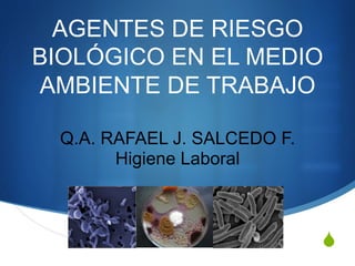 S
AGENTES DE RIESGO
BIOLÓGICO EN EL MEDIO
AMBIENTE DE TRABAJO
Q.A. RAFAEL J. SALCEDO F.
Higiene Laboral
 