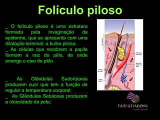 Folículo piloso
_ O folículo piloso é uma estrutura
formada pela invaginação da
epiderme, que se apresenta com uma
dilatação terminal, o bulbo piloso;
_ As células que recobrem a papila
formam a raiz do pêlo, de onde
emerge o eixo do pêlo.
_ As Glândulas Sudoríparas
produzem suor que tem a função de
regular a temperatura corporal;
_ As Glândulas Sebáceas produzem
a oleosidade da pele;
 