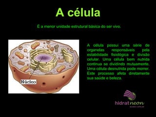 É a menor unidade estrutural básica do ser vivo.
A célula possui uma série de
organelas responsáveis pela
estabilidade fisiológica e divisão
celular. Uma célula bem nutrida
continua se dividindo mutuamente.
Uma célula desnutrida pode morrer.
Este processo afeta diretamente
sua saúde e beleza.
A célula
 