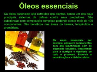 Os óleos essenciais são extraídos das plantas, sendo um dos seus
principais sistemas de defesa contra seus predadores. São
substâncias com composição complexa podendo conter mais de 400
componentes. São benéficos nas áreas da beleza, terapêutica e
aromáticos.
Os óleos essenciais, por
exemplo, possuem componentes
com alta BioAfinidade com as
organelas celulares, trabalhando
para a nutrição e equilíbrio de
todo o processo. Estimula a
estabilização e a divisão celular.
Óleos essenciais
 