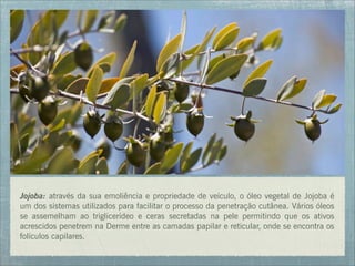 Jojoba: através da sua emoliência e propriedade de veículo, o óleo vegetal de Jojoba é
um dos sistemas utilizados para facilitar o processo da penetração cutânea. Vários óleos
se assemelham ao triglicerídeo e ceras secretadas na pele permitindo que os ativos
acrescidos penetrem na Derme entre as camadas papilar e reticular, onde se encontra os
folículos capilares.
 