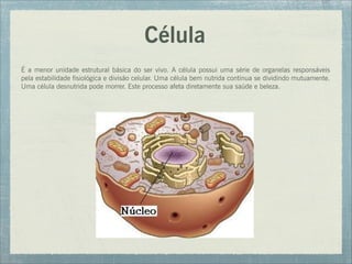 Célula
É a menor unidade estrutural básica do ser vivo. A célula possui uma série de organelas responsáveis
pela estabilidade fisiológica e divisão celular. Uma célula bem nutrida continua se dividindo mutuamente.
Uma célula desnutrida pode morrer. Este processo afeta diretamente sua saúde e beleza.
 