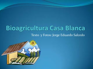 Bioagricultura Casa Blanca Texto  y Fotos: Jorge Eduardo Salcedo 