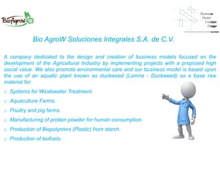 A company dedicated to the design and creation of business models focused on the
development of the Agricultural Industry by implementing projects with a proposed high
social value. We also promote environmental care and our business model is based upon
the use of an aquatic plant known as duckweed (Lemna - Duckweed) as a base raw
material for:
o Systems for Wastewater Treatment.
o Aquaculture Farms.
o Poultry and pig farms.
o Manufacturing of protein powder for human consumption.
o Production of Biopolymers (Plastic) from starch.
o Production of biofuels.
Bio AgroW Soluciones Integrales S.A. de C.V.
 